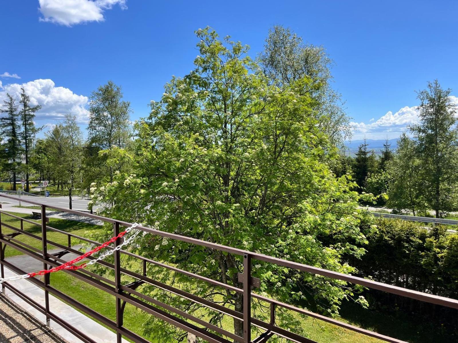Penzion Villa Gerlach Vysoké Tatry المظهر الخارجي الصورة